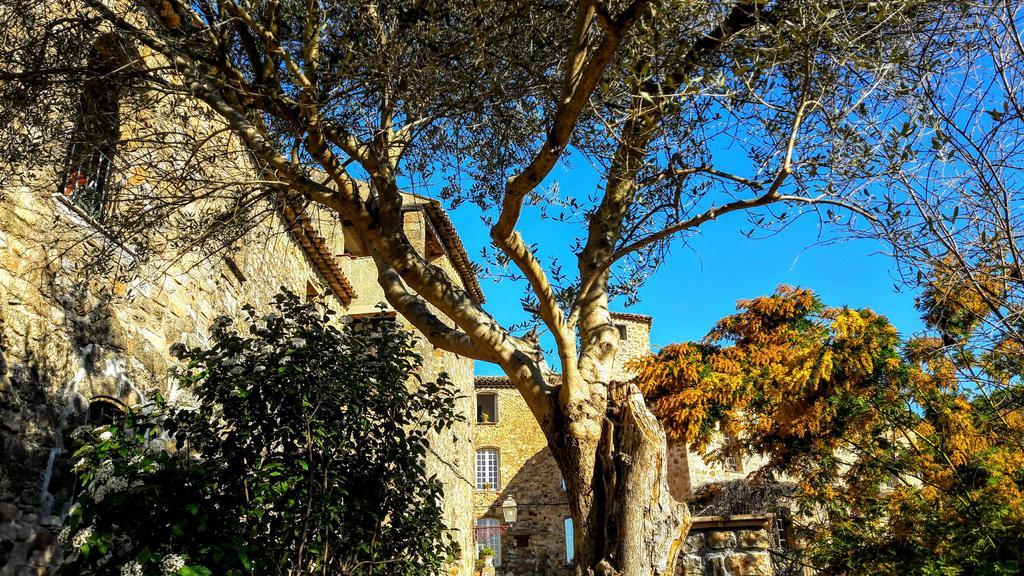 Villa Arca Les Arcs-sur-Argens Exterior foto